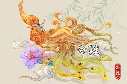 择吉老黄历 黄历择吉 择吉老黄历皇历