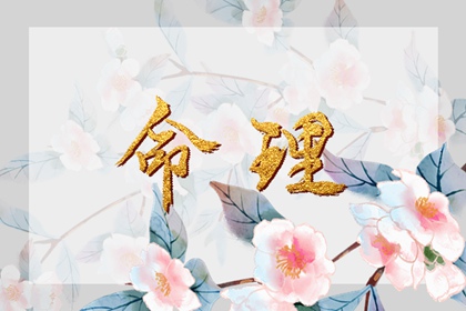 择吉黄历|万年历日历黄历|今天日期黄历查询